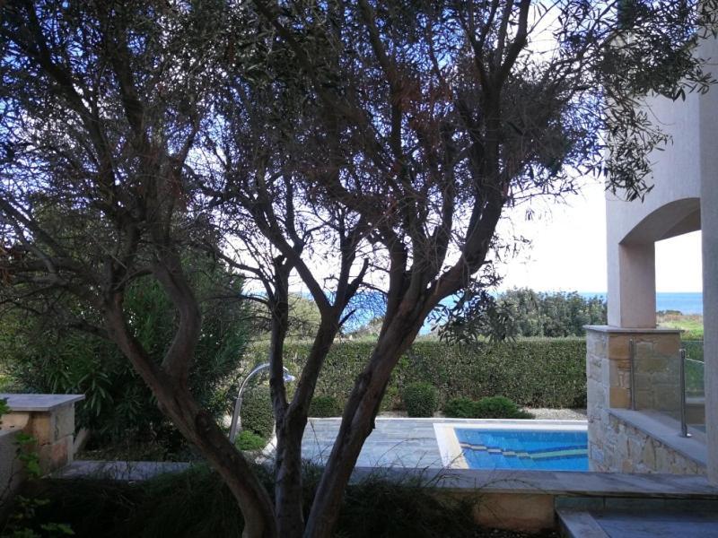 Amorosa Villas Πόλη Εξωτερικό φωτογραφία